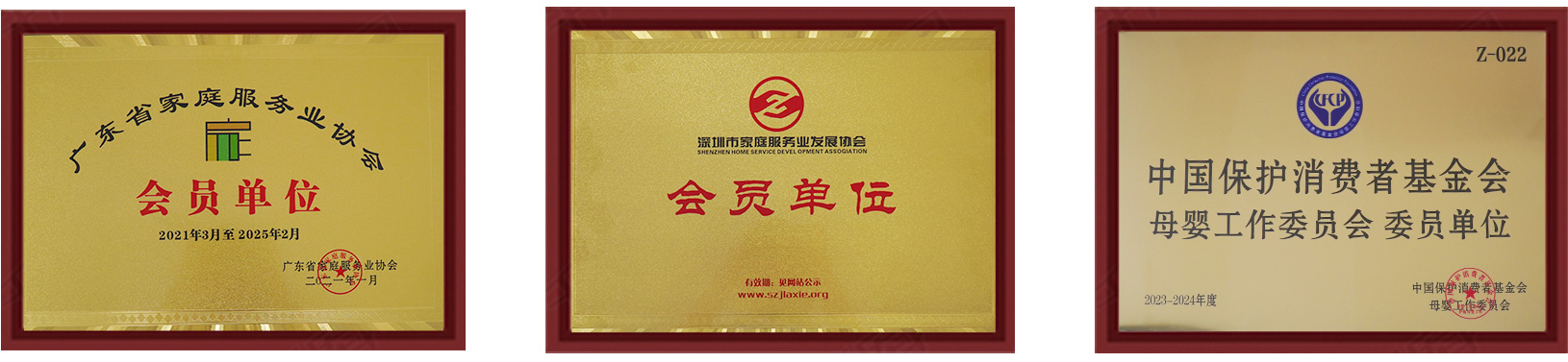 宝生到家荣誉图