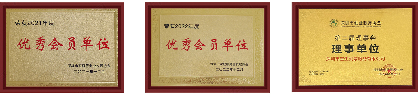 宝生到家荣誉图